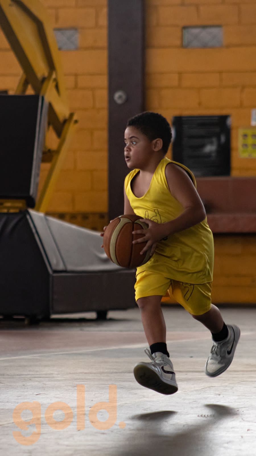 Gold Minibasketball 06